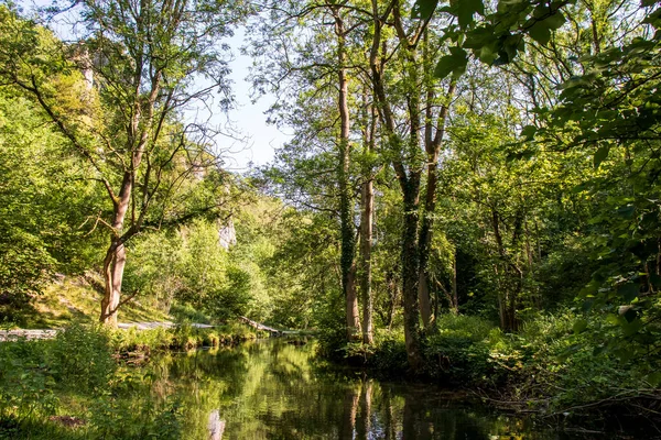 Dove Dale Прекрасный Вид Воду Среди Зеленых Деревьев Солнечный День — стоковое фото