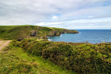 Port Isaac - Kuzey Cornwall 'da güzel bir deniz manzarası