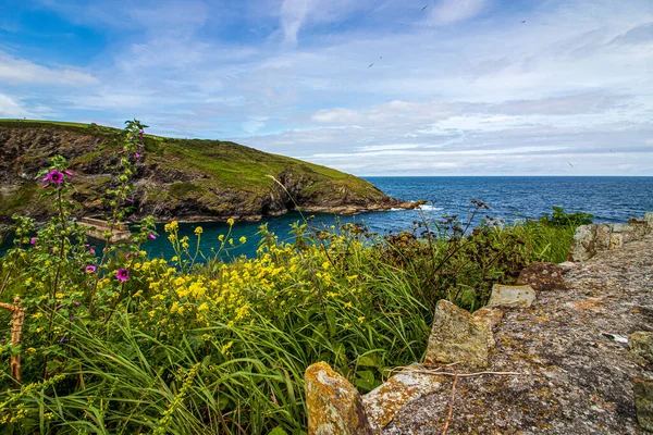 Port Isaac Ett Vackert Kustlandskap Norra Cornwall — Stockfoto