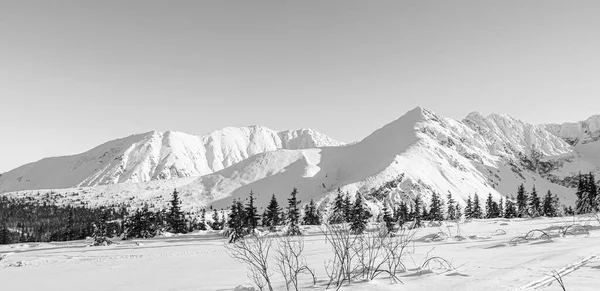 Zakopane Foto Blanco Negro Hermosa Vista Invierno Las Montañas Polacas — Foto de Stock