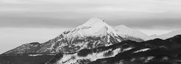 Photo Noir Blanc Panorama Des Montagnes Polonaises Des Tatra — Photo