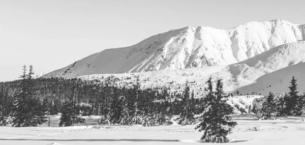 Foto Preto Branco Panorama Das Montanhas Tatra Polacas — Fotografia de Stock