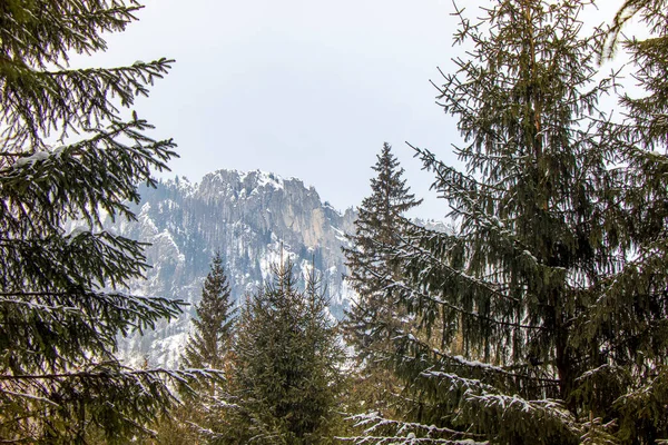 Schöne Aufnahme Der Polnischen Tatra — Stockfoto