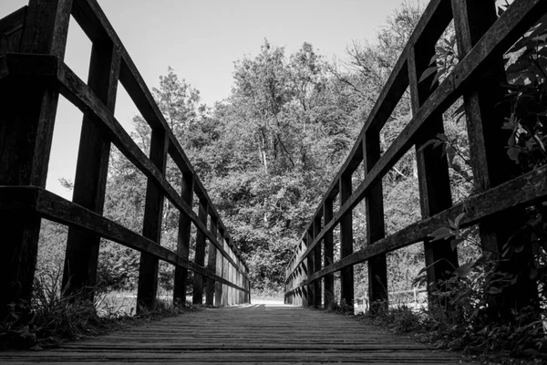 Schwarz Weiß Bild Holztreppe Dovedale — Stockfoto
