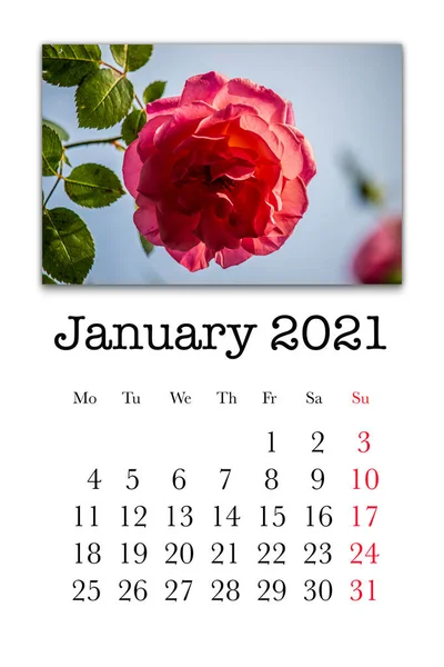 Kalender Kort För Januari Månad 2021 — Stockfoto