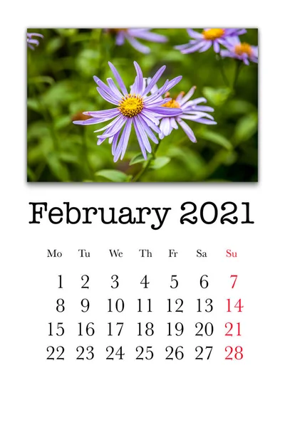 Calendar Card Month February 2021 — Stock Photo, Image