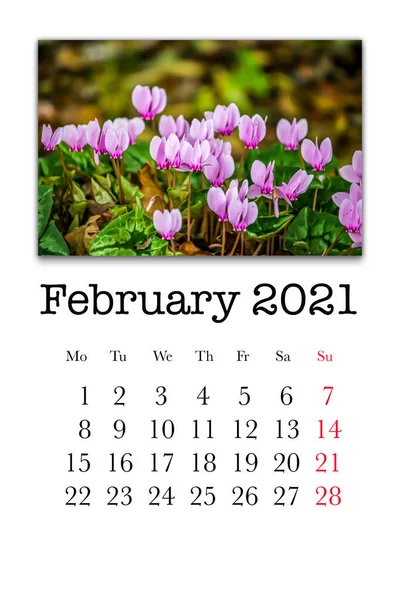 Scheda Calendario Mese Febbraio 2021 — Foto Stock