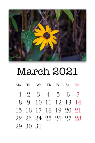 カレンダーカード2021年3月 — ストック写真