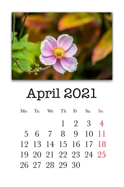 2021年4月のカレンダーカード — ストック写真
