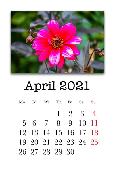 2021年4月のカレンダーカード — ストック写真