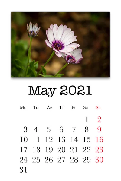 Calendar card for the month of May  2021