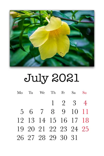 Scheda Calendario Mese Luglio 2021 — Foto Stock