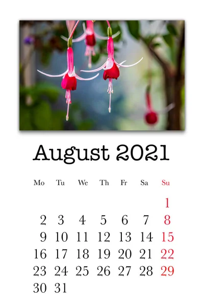 Kalendářní Karta Pro Měsíc Srpen 2021 — Stock fotografie
