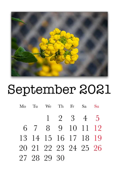 Calendar Card Month September 2021 — Stock Photo, Image