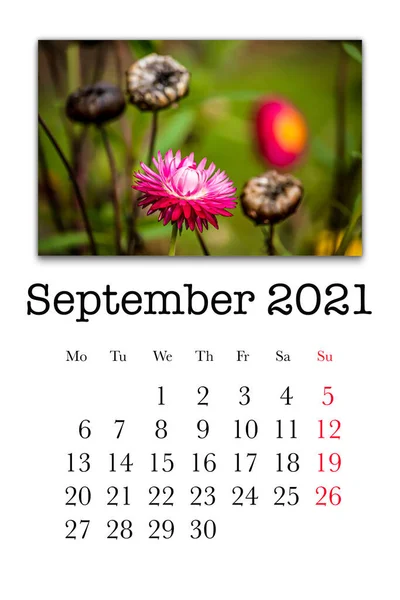 Cartão Calendário Para Mês Setembro 2021 — Fotografia de Stock