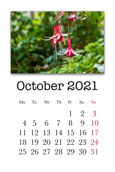 Calendar Card Month October 2021 — Stock Photo, Image