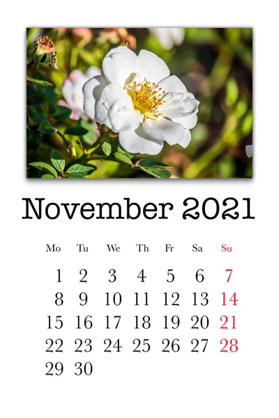 Kalenderkaart Voor Maand November 2021 — Stockfoto