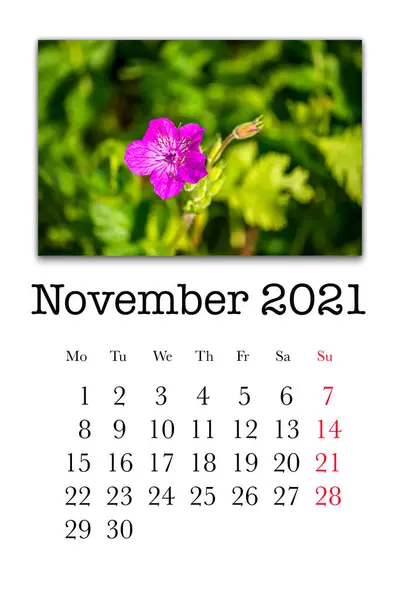 カレンダーカード2021年11月 — ストック写真