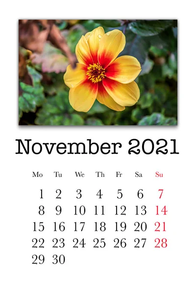 Kalenderkaart Voor Maand November 2021 — Stockfoto