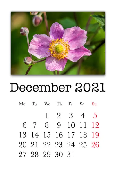 カレンダーカード2021年12月 — ストック写真