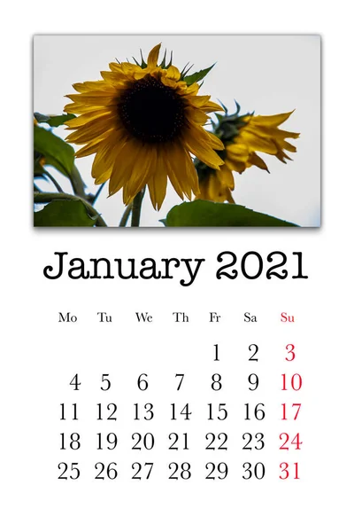 Kalender Kort För Januari Månad 2021 — Stockfoto