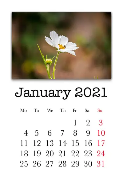 Tarjeta Calendario Para Mes Enero 2021 —  Fotos de Stock