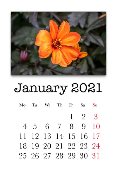 Calendar Card Month January 2021 — Stock Photo, Image