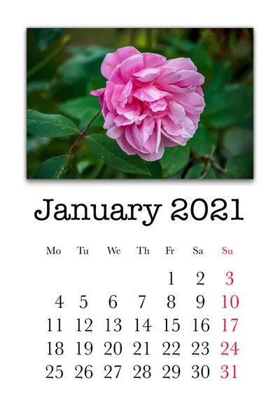 Tarjeta Calendario Para Mes Enero 2021 —  Fotos de Stock