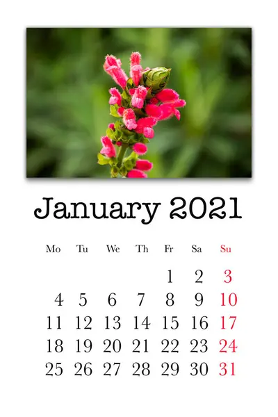 Κάρτα Ημερολογίου Για Τον Μήνα Ιανουάριο 2021 — Φωτογραφία Αρχείου