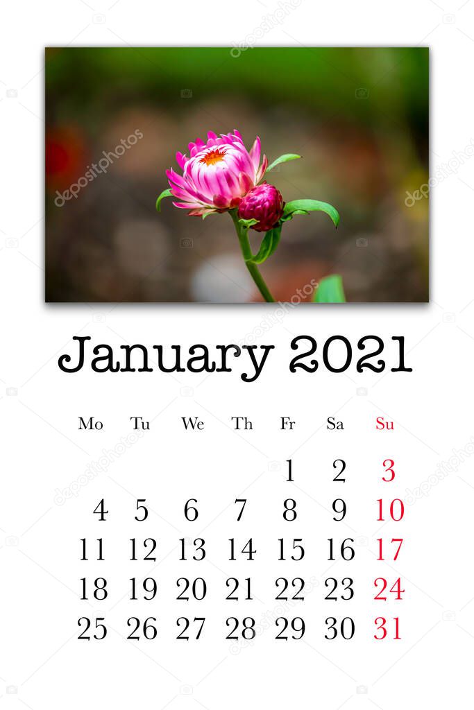 Calendar card for the month of January  2021