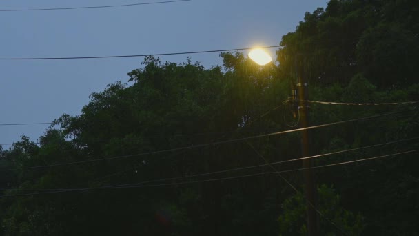 Farola Iluminada Noche Oscura Fuerte Lluvia — Vídeos de Stock