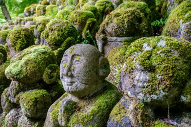 Kyoto Japonya 'da bulunan geleneksel Japon Budist tapınağı 