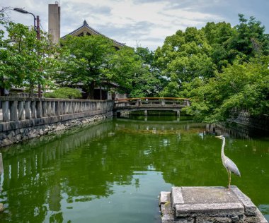 Geleneksel Japon bahçesi ve vahşi yaşam manzarası