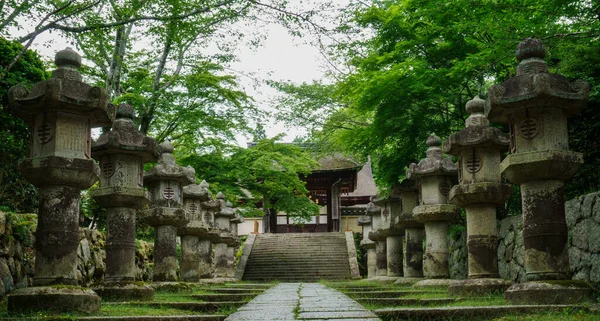 Otsu, Shiga, Kansai 'deki Japon tapınağındaki taş lambalar..