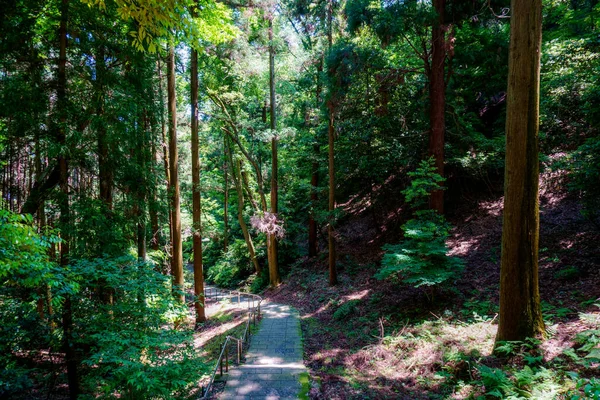 Caminho Florestal Japonês Tomado Área Kansai Durante Primavera — Fotografia de Stock