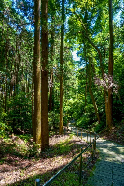 Caminho Florestal Japonês Tomado Área Kansai Durante Primavera — Fotografia de Stock