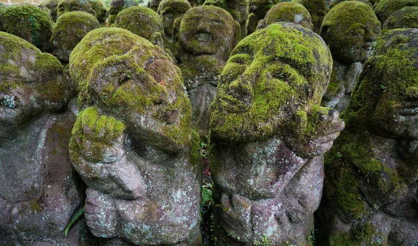 Kyoto Japonya 'da bulunan geleneksel Japon Budist tapınağı 