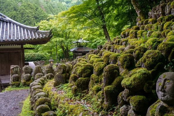 Kyoto Japonya 'da bulunan geleneksel Japon Budist tapınağı 