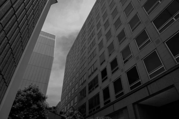 Kyoto şehir merkezindeki binalar açık bir günde