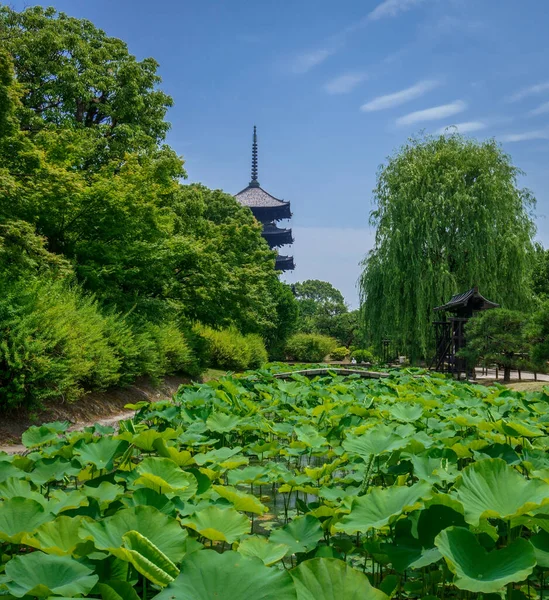 Japonya 'daki Kyoto tapınağında güzel ağaçlar ve dekorasyonlar var.
