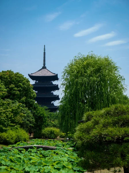 Japonya 'daki Kyoto tapınağında güzel ağaçlar ve dekorasyonlar var.