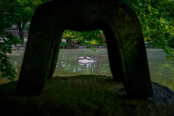 Geleneksel Japon bahçesi ve vahşi yaşam manzarası