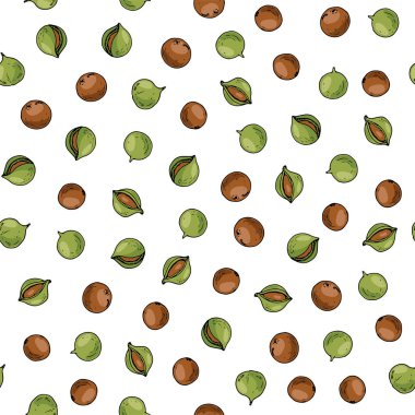 Elle çizilmiş eskiz stili olgun Macadamia kusursuz desen. Macadamia fındığı. Renk illüstrasyonu.