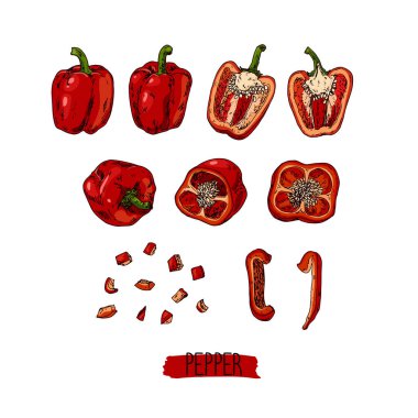 El yapımı eskiz tarzı kırmızı biber seti. Renk illüstrasyonu.