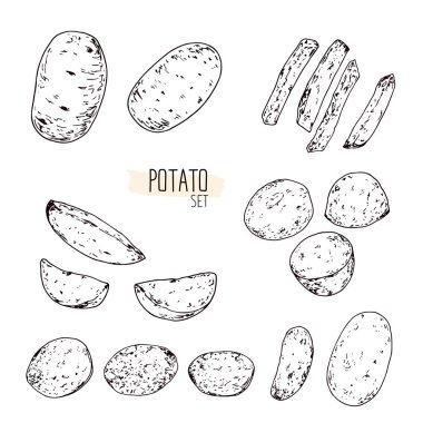 El yapımı eskiz tarzı patates seti. Patates cipsi, fırında patates, patates püresi, patates kızartması. Vektör illüstrasyonu.