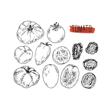 Hand drawn sketch style tomato set. Ripe ahd sliced tomato. Dried tomato. Vector illustration. clipart