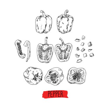 El yapımı çizim tarzı tatlı biber seti. Vektör illüstrasyonu.