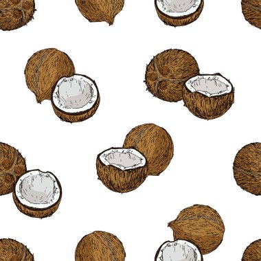 Elle çizilmiş eskiz tarzı olgun ve yarım hindistan cevizi desenli. Renk illüstrasyonu.