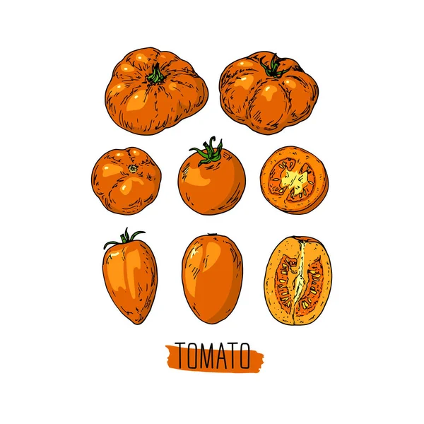 Set Pomodori Gialli Stile Schizzo Disegnato Mano Pomodoro Affettato Ahd — Vettoriale Stock