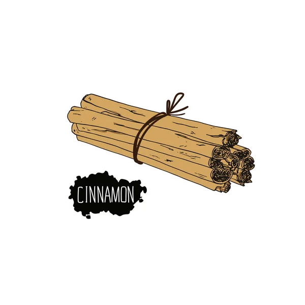 Hand Drawn Sketch Style Bunch Cinnamon Color Illustration — Stock Vector